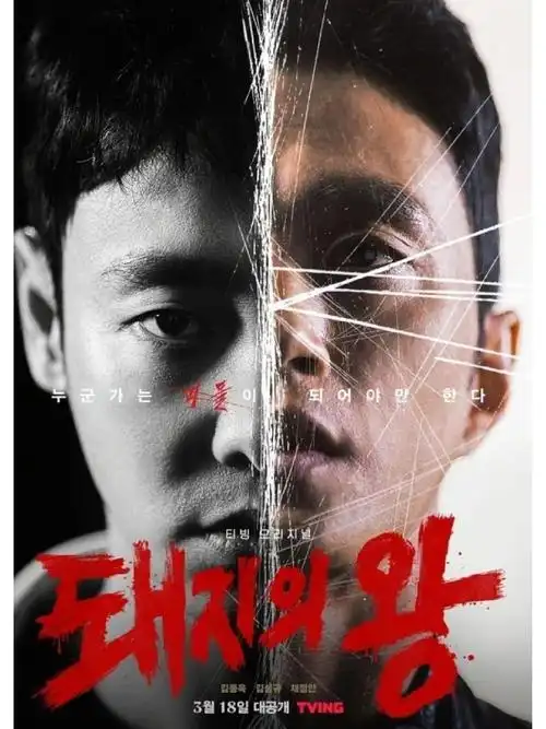 i韩迷 背着善宰跑 高清在线观看